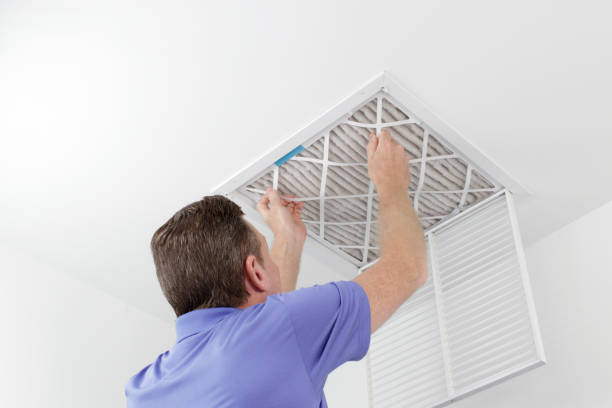 Best Affordable Air Duct Cleaning  in Mammoth, AZ